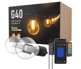 25-light 50ft Indoor/Outdoor Plug-in Integrated LED Globe String Lights with Dimmer Timer, Bluetooth App Control