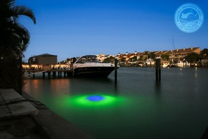 Blue/Green Apollo Iris Underwater LED Lighting System (Option: (80 foot power cord))